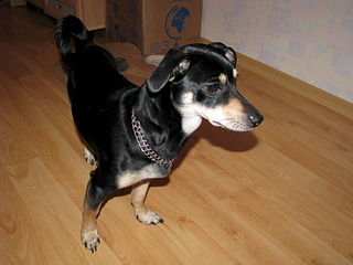 1920 X 1440 583.3 Kb 1920 X 1440 442.7 Kb 1920 X 1440 638.9 Kb 1920 X 1440 605.0 Kb    c