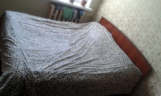 1920 X 1152 832.0 Kb    (  )