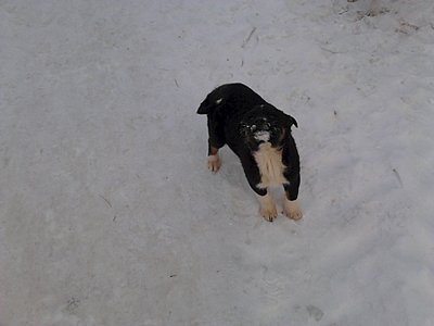 1920 X 1440 177.0 Kb 