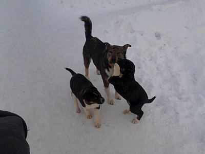 1920 X 1440 183.7 Kb 1920 X 1440 177.0 Kb 