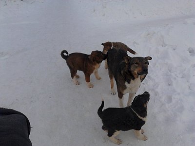 1920 X 1440 194.3 Kb 1920 X 1440 183.7 Kb 1920 X 1440 177.0 Kb 