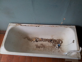 1920 X 1440 142.6 Kb    