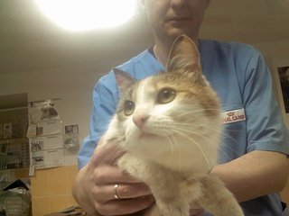 1920 X 1440 216.3 Kb ������� ���� � ������ �����!