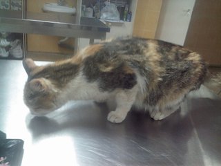 1920 X 1440 232.9 Kb 1920 X 1440 216.3 Kb ������� ���� � ������ �����!