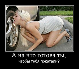 620 X 539  64.5 Kb  )