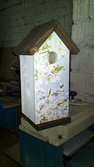 1440 X 2560 736.4 Kb   