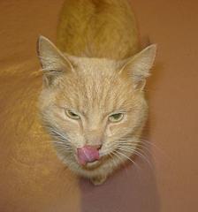 1920 X 2052 283.5 Kb  