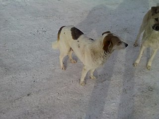 1280 X 960 147.8 Kb  .  .