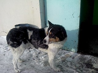 1280 X 960 163.9 Kb 1280 X 960 147.8 Kb  .  .