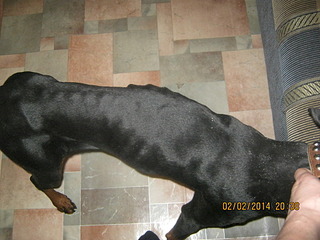 1920 X 1440 674.1 Kb     .SOS.