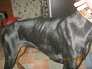 1920 X 1440 536.6 Kb 1920 X 1440 674.1 Kb     .SOS.