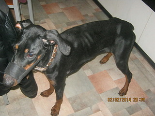 1920 X 1440 582.3 Kb 1920 X 1440 536.6 Kb 1920 X 1440 674.1 Kb     .SOS.