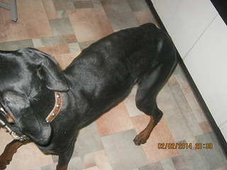 1920 X 1440 604.1 Kb 1920 X 1440 582.3 Kb 1920 X 1440 536.6 Kb 1920 X 1440 674.1 Kb     .SOS.