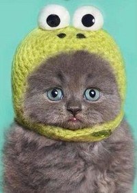 200 x 282 Улыбнемся?