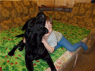 640 X 480 73.7 Kb Собаки поисково-спасательной службы Удмуртии