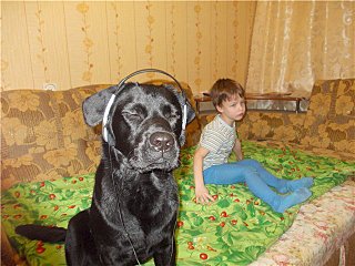 640 X 480 68.7 Kb 640 X 480 73.7 Kb Собаки поисково-спасательной службы Удмуртии