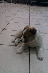 402 X 604 40.3 Kb  .  .