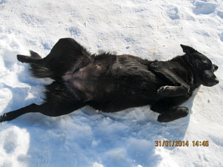 1600 X 1200 504.8 Kb     4-   !