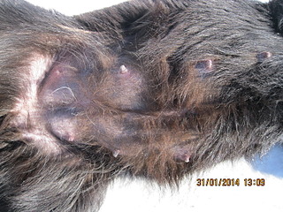 1600 X 1200 951.4 Kb 1600 X 1200 504.8 Kb     4-   !