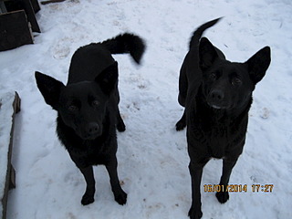 1600 X 1200 432.8 Kb 1600 X 1200 576.0 Kb 1600 X 1200 951.4 Kb 1600 X 1200 504.8 Kb     4-   !