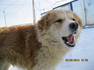 1600 X 1200 435.6 Kb 1600 X 1200 432.8 Kb 1600 X 1200 576.0 Kb 1600 X 1200 951.4 Kb 1600 X 1200 504.8 Kb     4-   !