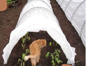 287 x 220 500 X 334 99.1 Kb    4  6