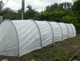 264 x 199 232 X 275 116.1 Kb 240 x 230 287 x 220 500 X 334 99.1 Kb  