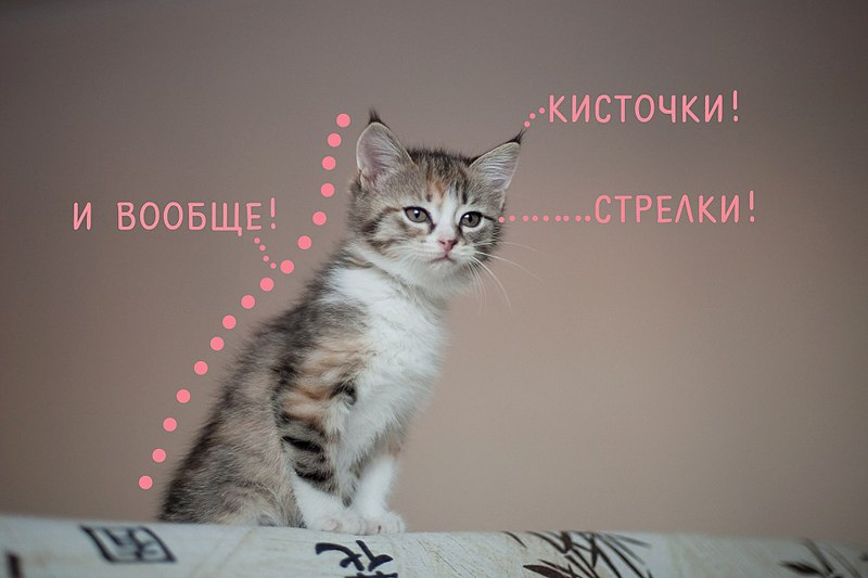 1920 X 1280 211.2 Kb 2         