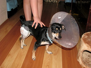 1920 X 1440 668.0 Kb    c