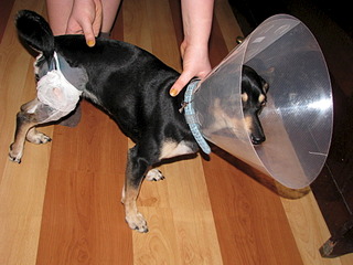 1920 X 1440 647.2 Kb 1920 X 1440 668.0 Kb    c