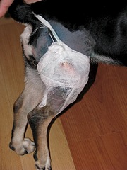 1920 X 2560 355.4 Kb 1920 X 1440 647.2 Kb 1920 X 1440 668.0 Kb    c