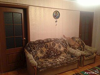 640 X 480 44.3 Kb Чистая продажа. Срочно.