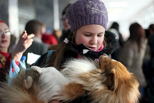 604 X 403 46.9 Kb 604 X 403 31.9 Kb 604 X 403 26.9 Kb 26.01.14 выставка ЧФ в Ижевске