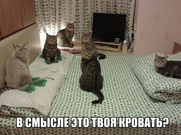 604 x 453 480 x 480 640 x 480 Улыбнемся?