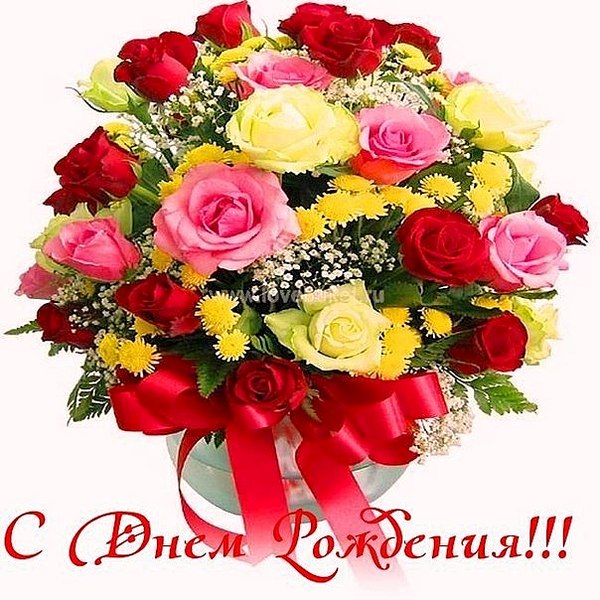604 X 604 93.4 Kb Борзая компания)