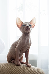 1920 X 2880 588.1 Kb   . 