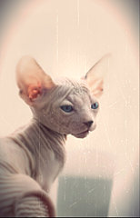 1375 X 2139 217.2 Kb 1920 X 2880 588.1 Kb   . 