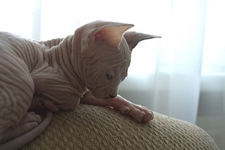 1920 X 1281 406.8 Kb   . 