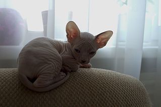 1920 X 1281 201.6 Kb 1920 X 1281 406.8 Kb   . 