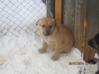 1920 X 1440 480.7 Kb  :  ...?