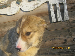 1920 X 1440 497.1 Kb  :  ...?