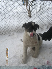 1920 X 2560 356.1 Kb 1920 X 2560 842.1 Kb  :  ...?