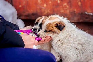 1920 X 1280 718.7 Kb  .  .