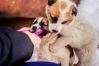 1920 X 1280 643.1 Kb 1920 X 1280 718.7 Kb  .  .