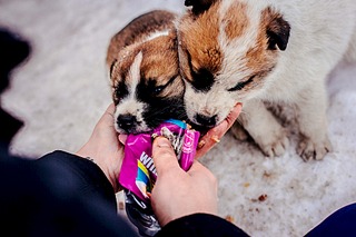 1920 X 1280 582.9 Kb  .  .