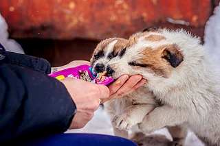 1920 X 1280 645.2 Kb 1920 X 1280 582.9 Kb  .  .