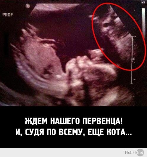 497 x 530 Улыбнемся?