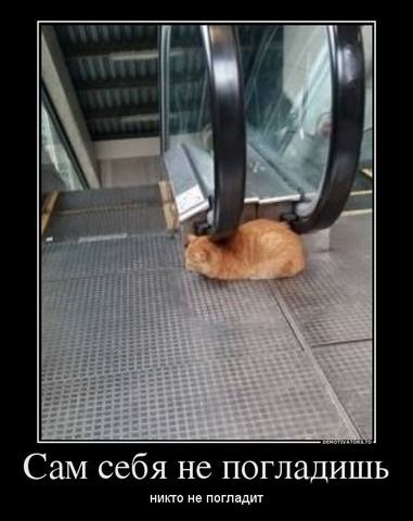 381 x 480 Улыбнемся?