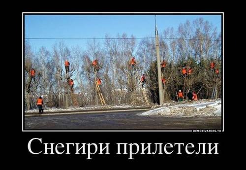 500 x 345 381 x 480 Улыбнемся?