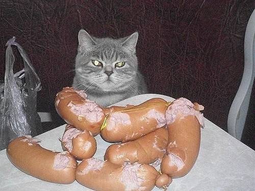 500 x 375 500 x 345 381 x 480 Улыбнемся?